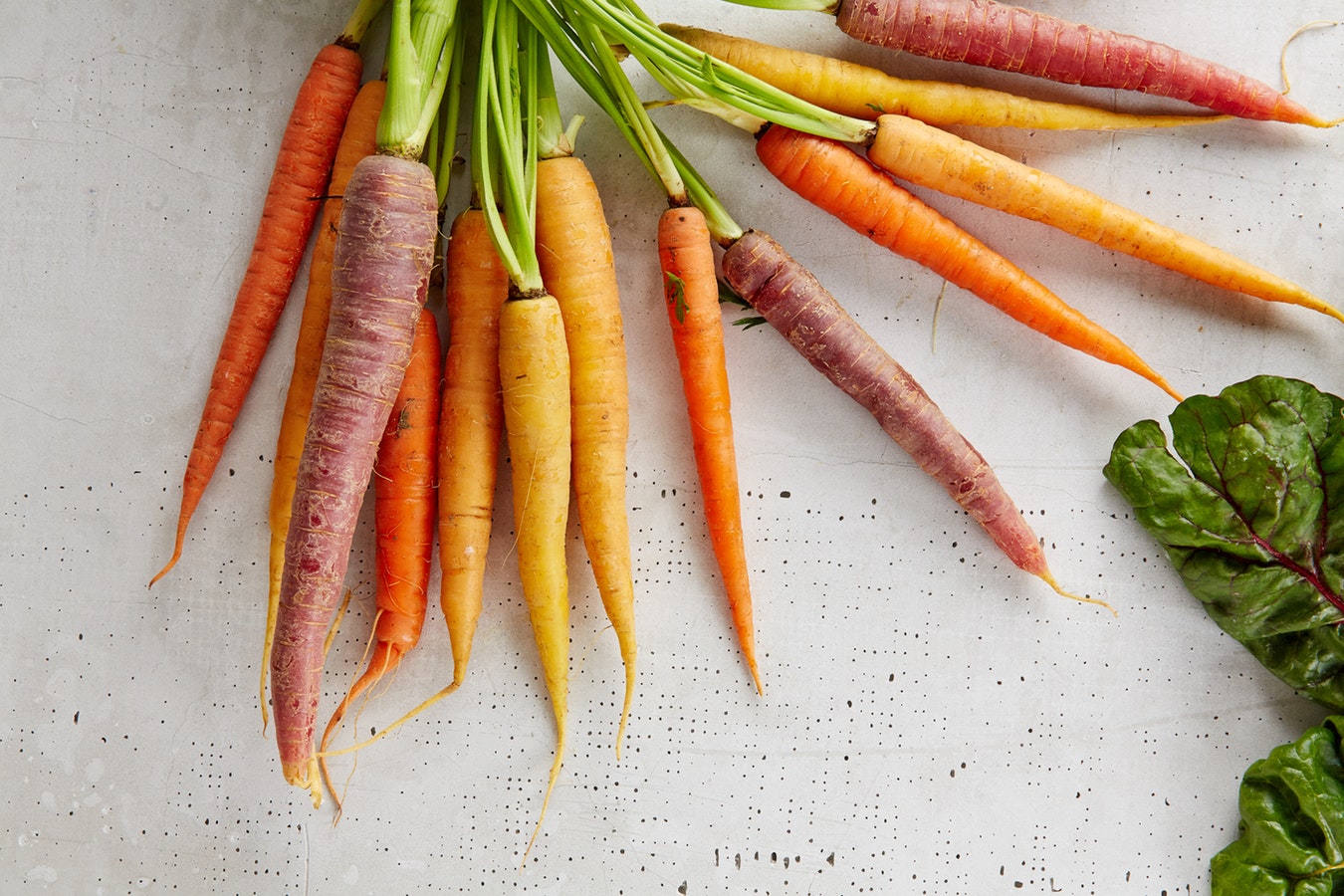 An assortment of carrots in different colours