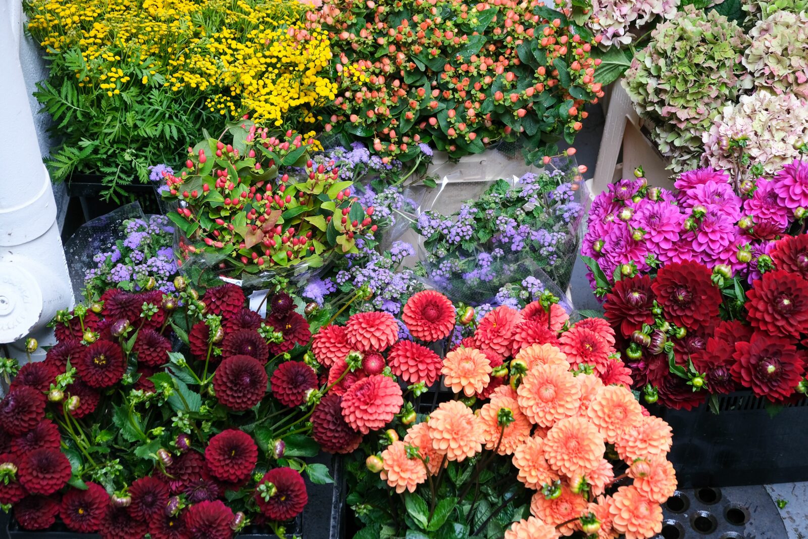 Several colourful flower bouquets standing closely together