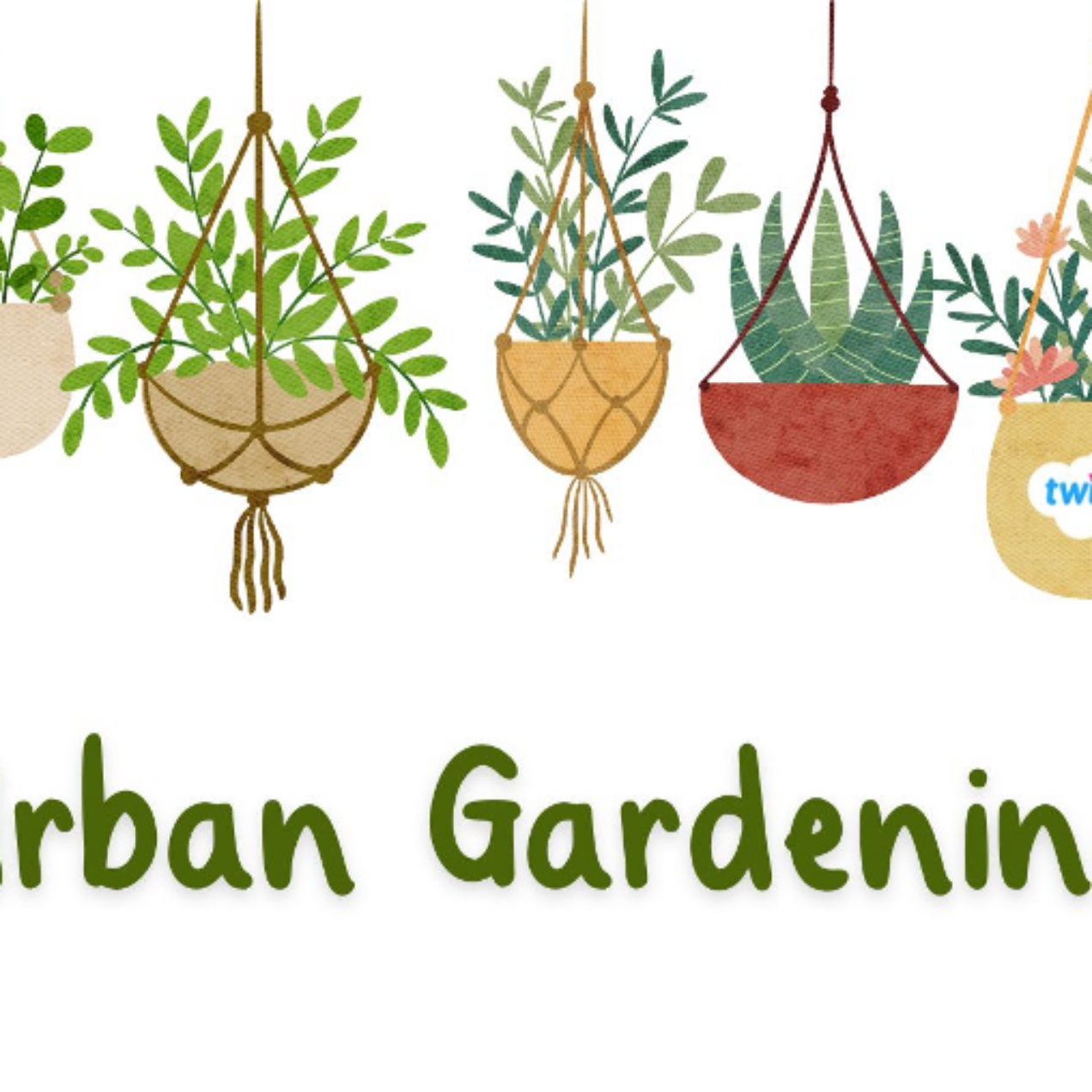 Urban Gardening für Anfänger